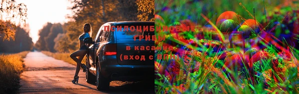 меф Хадыженск